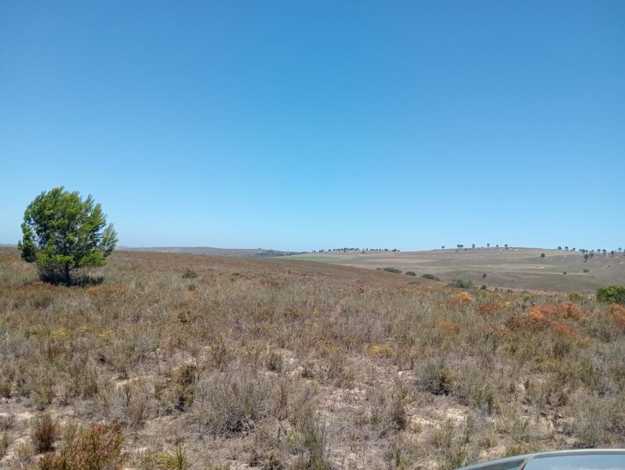 Commercial Property for Sale in Humansdorp Rural Eastern Cape